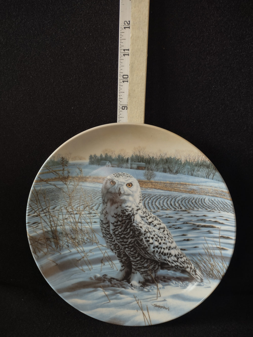 Vintage Knowles Collector Plate 1st Issue The Snowy Owl Stately Owls (Lot 5113)