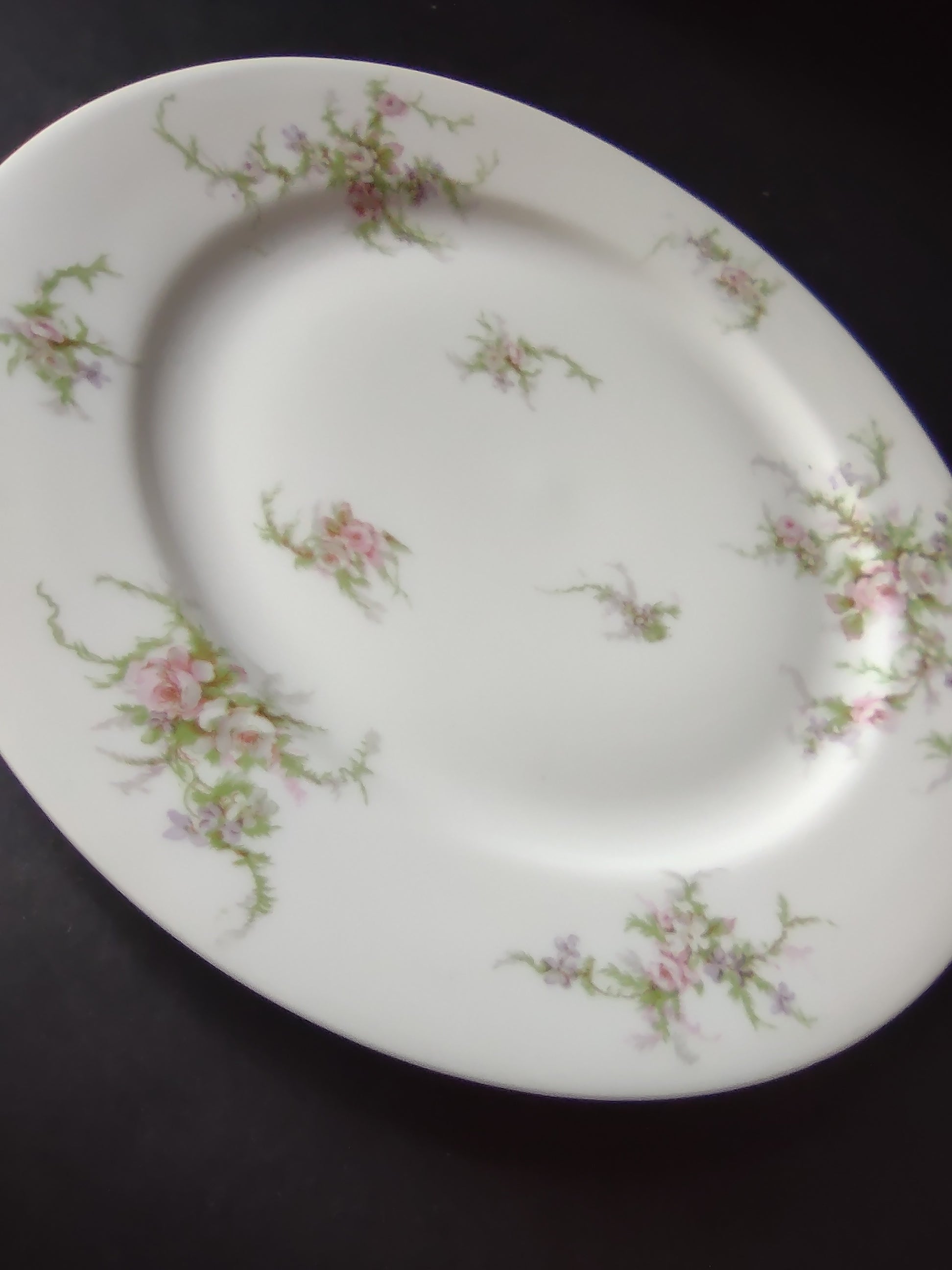 Haviland Limoges Dinner Plate 9-3/4" Pink White Cabbage Rose Moss (lot 909)