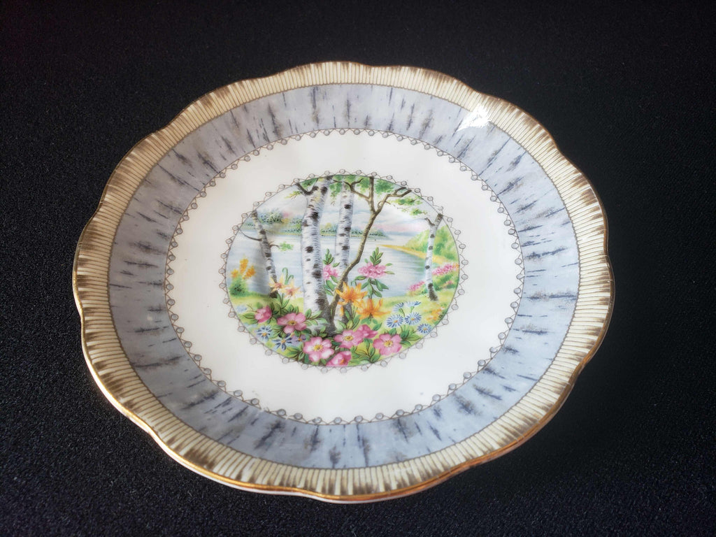 Vintage Royal Albert Bone China Silver Birch Saucer ONLY (lot 2015)