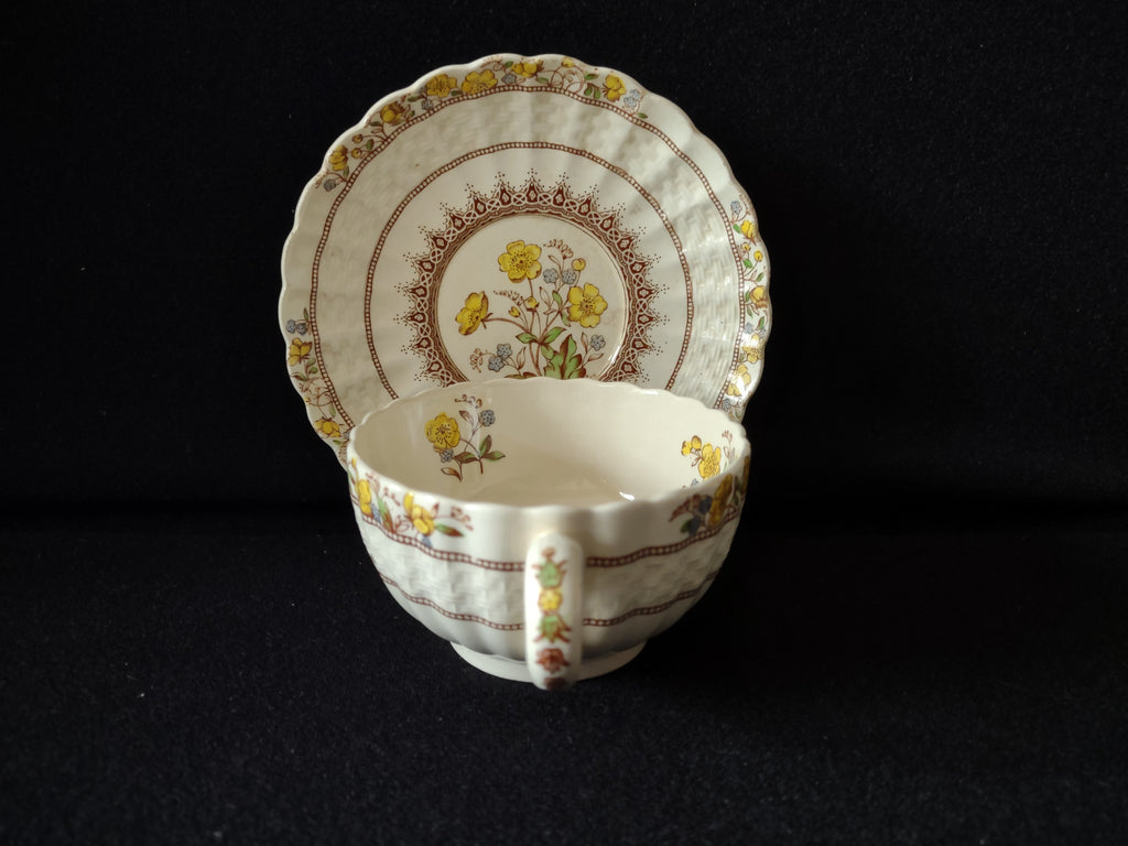 Vintage Spode Buttercup Teacup Saucer English Countryside Ironstone (lot 5747)