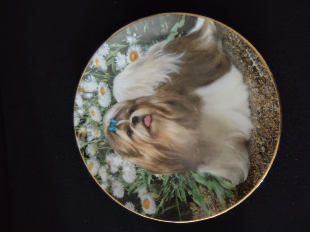 Vintage Danbury Mint Plate Shih Tzu Picture Perfect Simon Mendez (Lot 4017