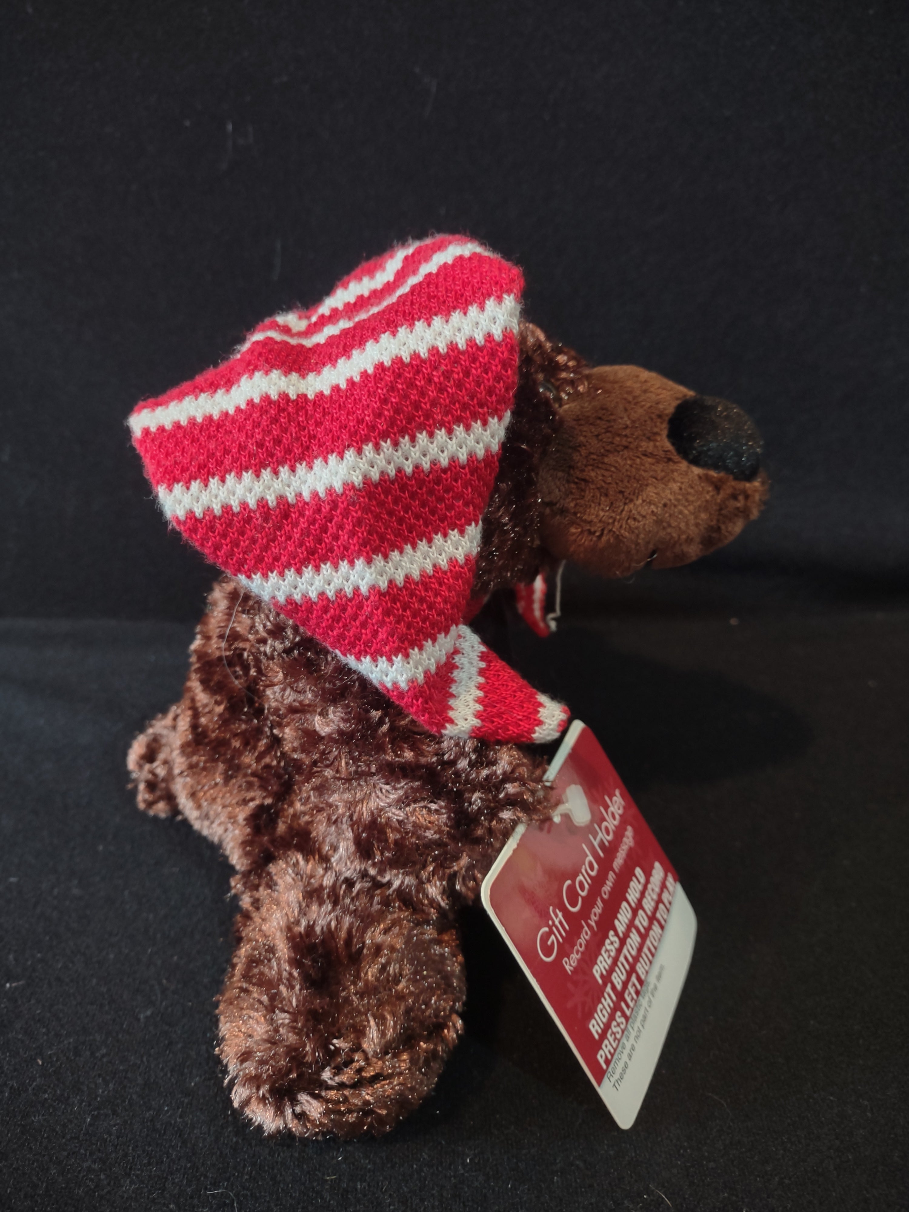 Christmas Winter Recordable Bear Gift Card Holder Stocking Hat Scarf (Lot 4231)