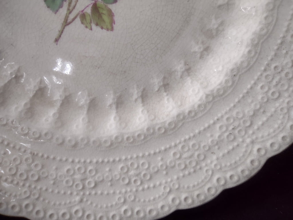 Vintage Spode Jewel Billingsley Rose Small Plate Brown Stamp Ironstone (lot5834)