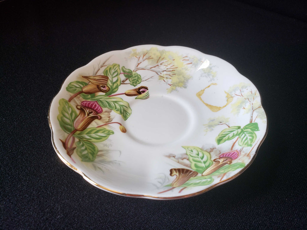 Vintage Royal Albert Bone Jack-in-a-Pulpit Saucer ONLY (lot 2011)