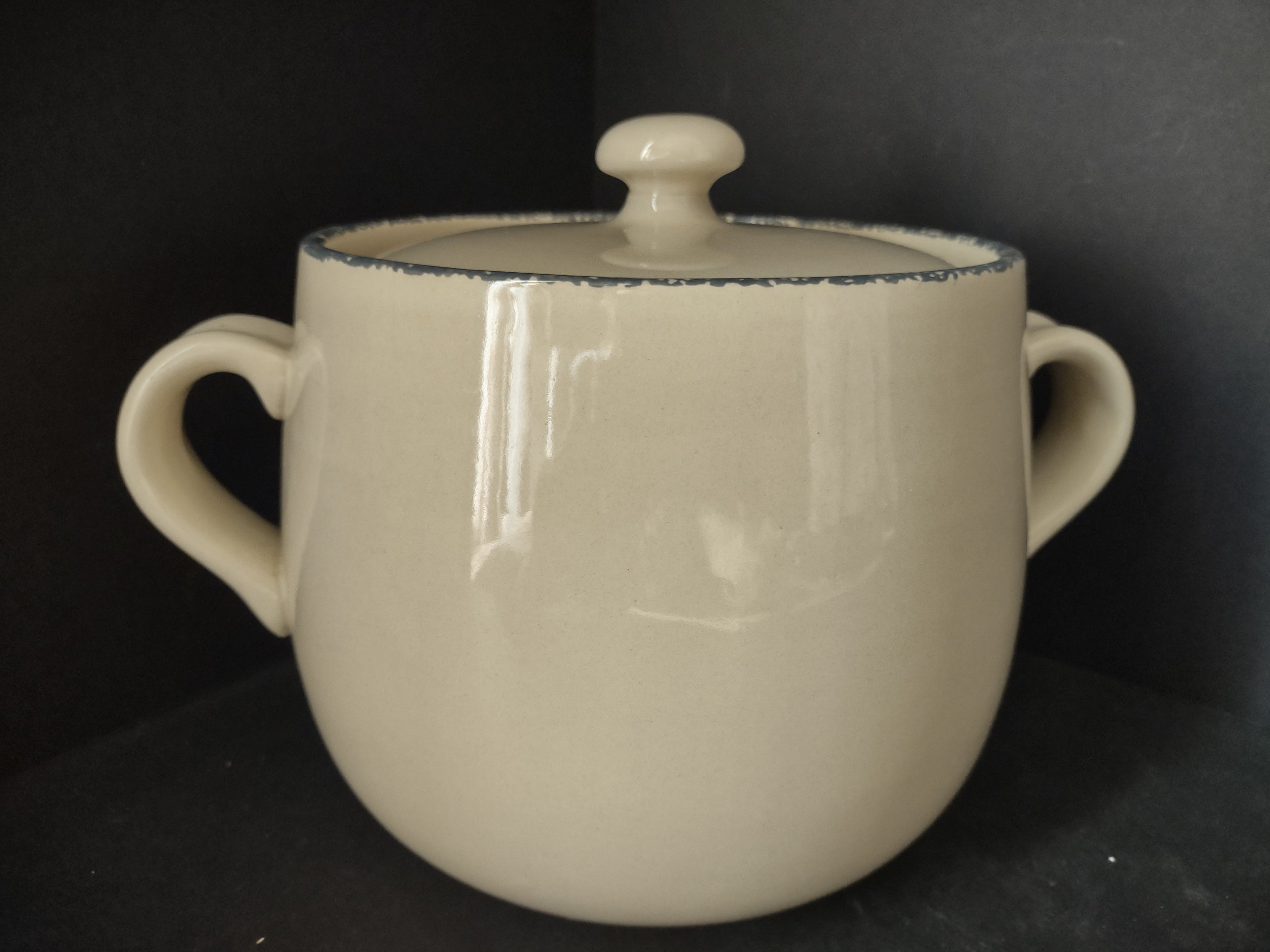 Home and Garden Party Stoneware Birdhouse Bean Pot Cookie Jar Handles (lot 2934c)