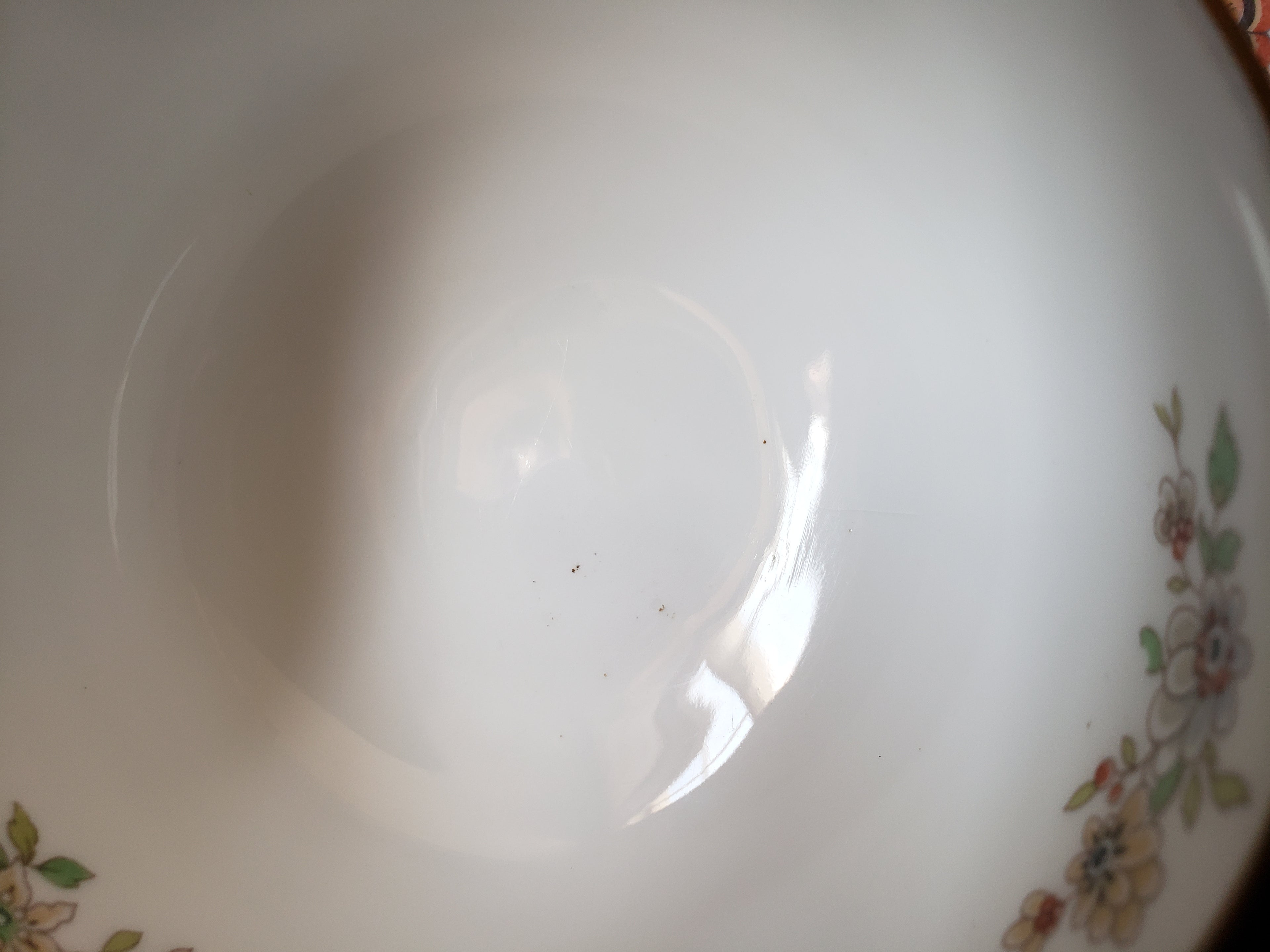 Vintage Royal Worcester Black Higgins Seiter Butterfly Tea Cup Saucer (lot 2120)