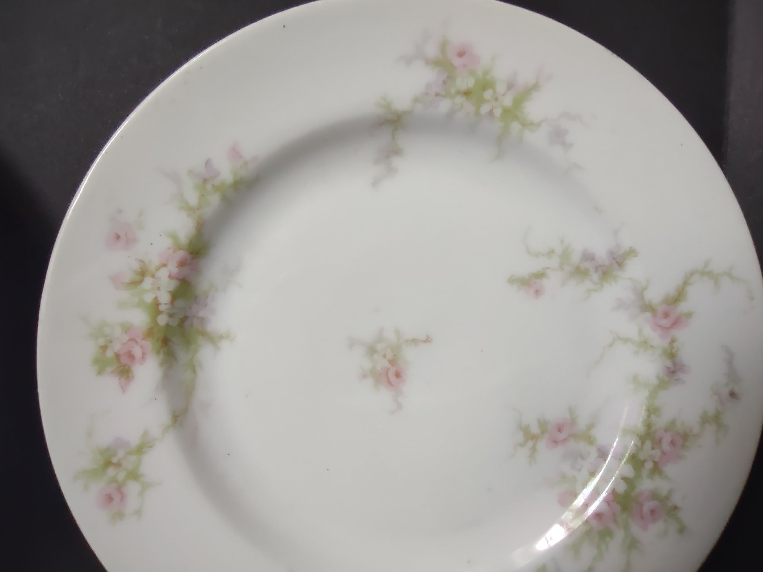 Haviland Limoges 2 x Bread Butter Plate Rose White Purple Flower Moss (lot 898)