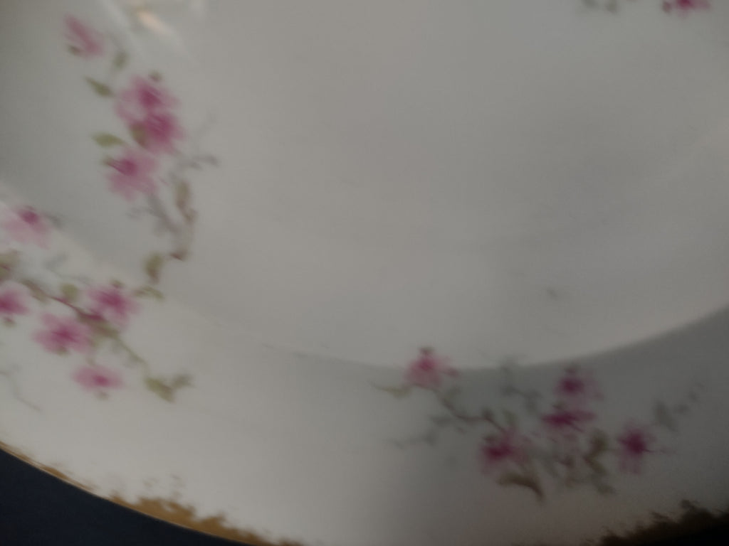 Haviland France Limoges Soup Plate 9-1/2" Pink Floral Gold Trim (lot 1006)