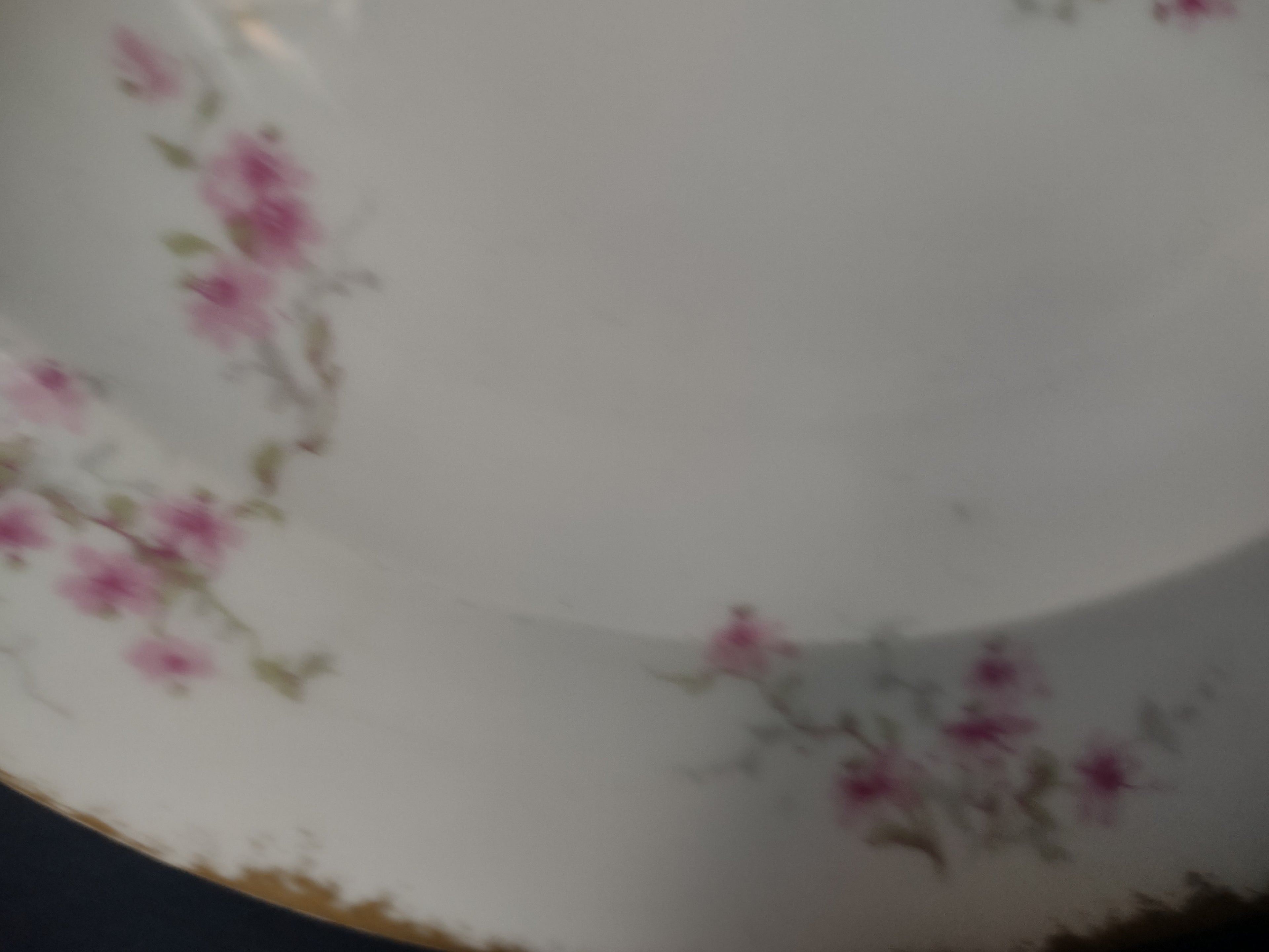 Haviland France Limoges Soup Plate 9-1/2" Pink Floral Gold Trim (lot 1006)