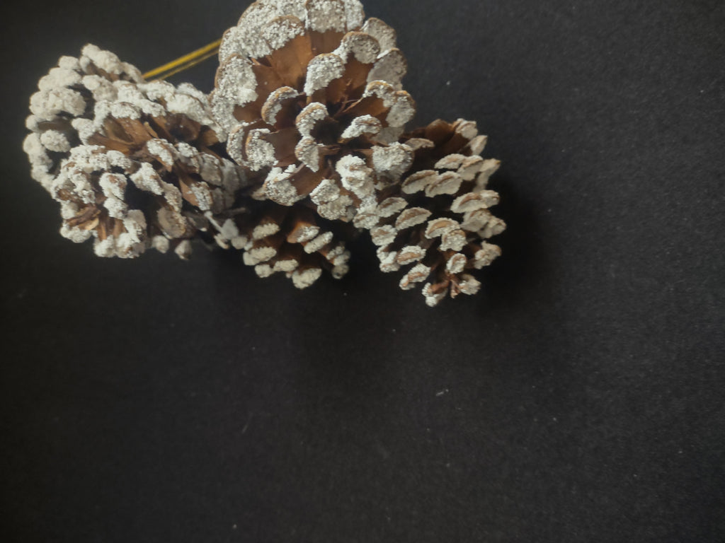 Lot of 12 Pine Cones Christmas Tree Ornament (lot 1683)