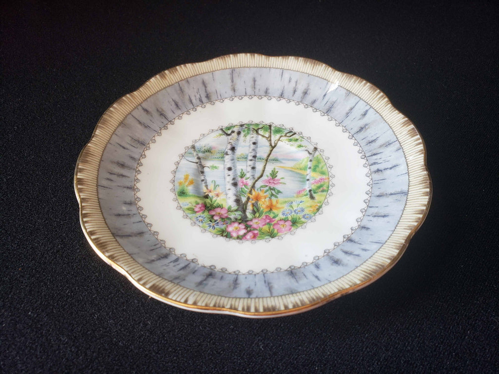 Vintage Royal Albert Bone China Silver Birch Saucer ONLY (lot 2015)