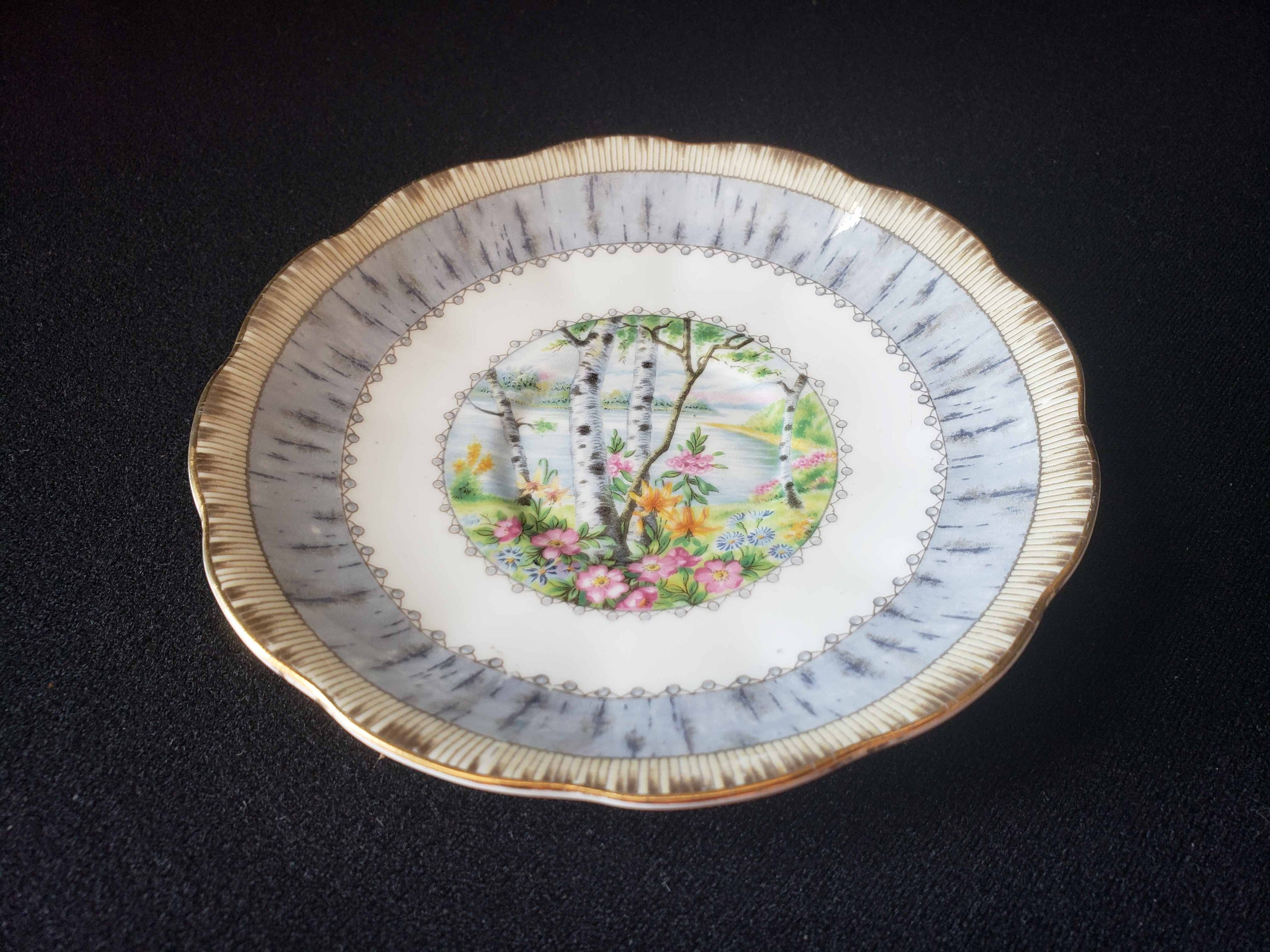 Vintage Royal Albert Bone China Silver Birch Saucer ONLY (lot 2015)
