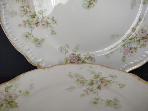 lot 774 Haviland Limoges Dinner Luncheon Plate Large Green White Roses Gold Trim